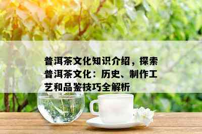 普洱茶文化知识介绍，探索普洱茶文化：历史、制作工艺和品鉴技巧全解析