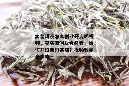 卖普洱茶怎么创业开店呢视频，零基础创业者必看：如何开设普洱茶店？视频教学全攻略