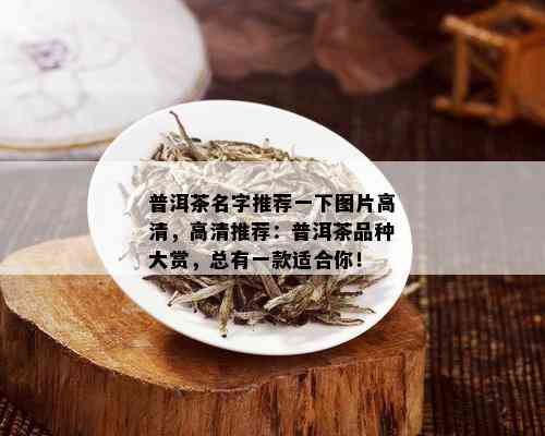 普洱茶名字推荐一下图片高清，高清推荐：普洱茶品种大赏，总有一款适合你！