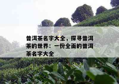 普洱茶名字大全，探寻普洱茶的世界：一份全面的普洱茶名字大全