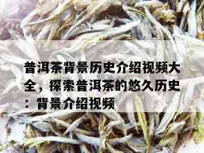 普洱茶背景历史介绍视频大全，探索普洱茶的悠久历史：背景介绍视频