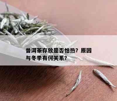 普洱茶存放是否怕热？原因与冬季有何关系？