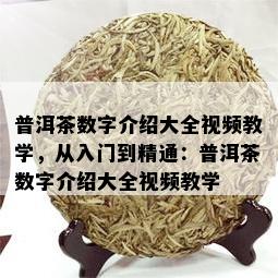 普洱茶数字介绍大全视频教学，从入门到精通：普洱茶数字介绍大全视频教学