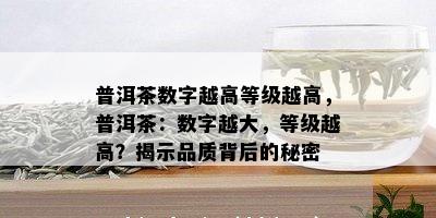 普洱茶数字越高等级越高，普洱茶：数字越大，等级越高？揭示品质背后的秘密