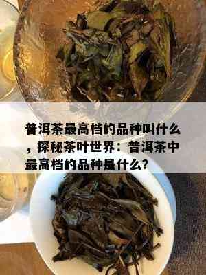 普洱茶更高档的品种叫什么，探秘茶叶世界：普洱茶中更高档的品种是什么？