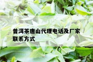 普洱茶唐山代理电话及厂家联系方式