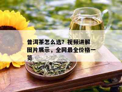 普洱茶怎么选？视频讲解 图片展示，全网最全价格一览