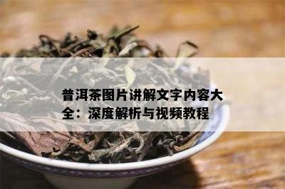 普洱茶图片讲解文字内容大全：深度解析与视频教程