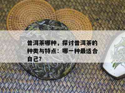 普洱茶哪种，探讨普洱茶的种类与特点：哪一种最适合自己？