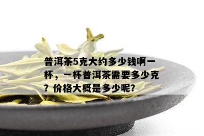 普洱茶5克大约多少钱啊一杯，一杯普洱茶需要多少克？价格大概是多少呢？