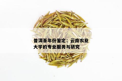 普洱茶年份鉴定：云南农业大学的专业服务与研究