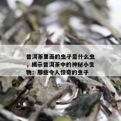 普洱茶里面的虫子是什么虫，揭示普洱茶中的神秘小生物：那些令人惊奇的虫子