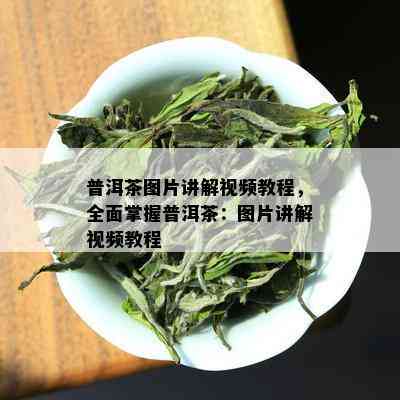 普洱茶图片讲解视频教程，全面掌握普洱茶：图片讲解视频教程