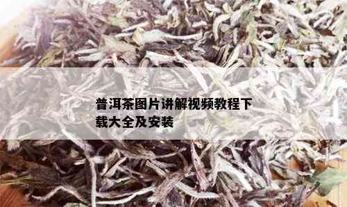 普洱茶图片讲解视频教程下载大全及安装