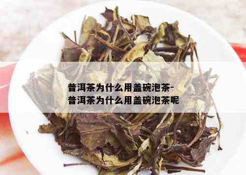 普洱茶为什么用盖碗泡茶-普洱茶为什么用盖碗泡茶呢