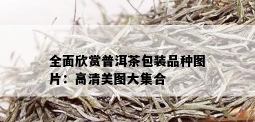 全面欣赏普洱茶包装品种图片：高清美图大集合