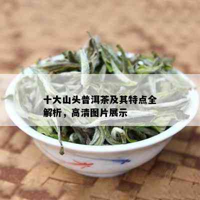 十大山头普洱茶及其特点全解析，高清图片展示