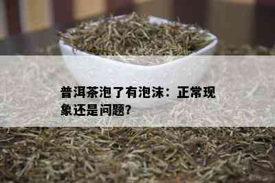 普洱茶泡了有泡沫：正常现象还是问题？