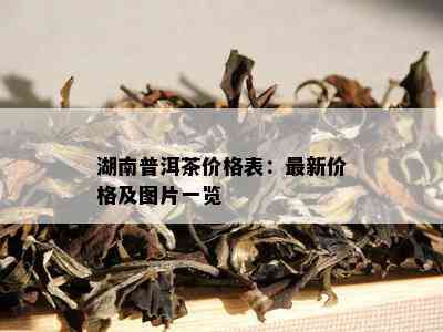 湖南普洱茶价格表：最新价格及图片一览