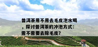 普洱茶用不用去毛皮泡水喝，探讨普洱茶的冲泡方式：需不需要去除毛皮？