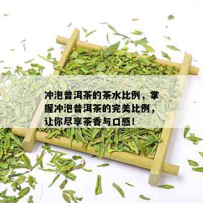 冲泡普洱茶的茶水比例，掌握冲泡普洱茶的完美比例，让你尽享茶香与口感！