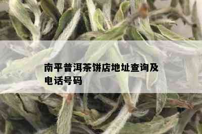 南平普洱茶饼店地址查询及电话号码