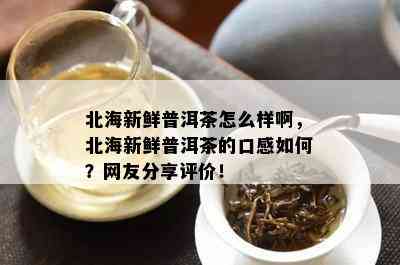 北海新鲜普洱茶怎么样啊，北海新鲜普洱茶的口感如何？网友分享评价！