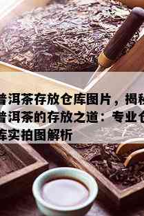 普洱茶存放仓库图片，揭秘普洱茶的存放之道：专业仓库实拍图解析