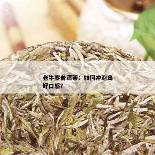 老牛寨普洱茶：如何冲泡出好口感？