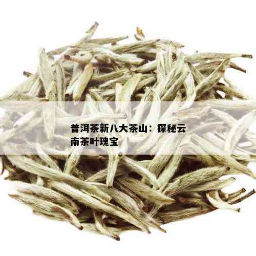 普洱茶新八大茶山：探秘云南茶叶瑰宝