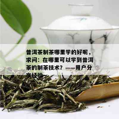 普洱茶制茶哪里学的好呢，求问：在哪里可以学到普洱茶的制茶技术？——用户分享经验