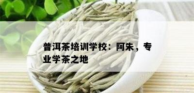 普洱茶培训学校：阿朱，专业学茶之地