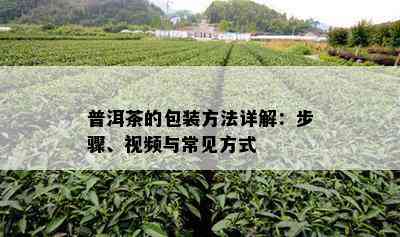 普洱茶的包装方法详解：步骤、视频与常见方式