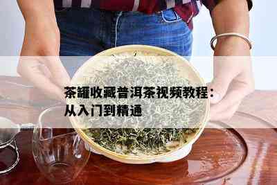 茶罐收藏普洱茶视频教程：从入门到精通