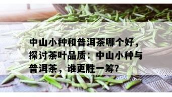 中山小种和普洱茶哪个好，探讨茶叶品质：中山小种与普洱茶，谁更胜一筹？