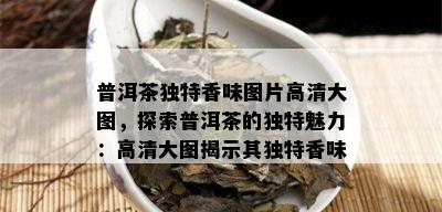 普洱茶独特香味图片高清大图，探索普洱茶的独特魅力：高清大图揭示其独特香味