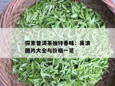 探索普洱茶独特香味：高清图片大全与价格一览