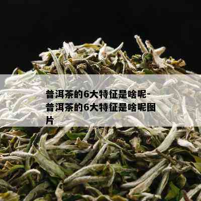 普洱茶的6大特征是啥呢-普洱茶的6大特征是啥呢图片