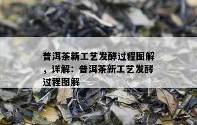 普洱茶新工艺发酵过程图解，详解：普洱茶新工艺发酵过程图解