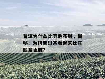 普洱为什么比其他茶脏，揭秘：为何普洱茶看起来比其他茶更脏？