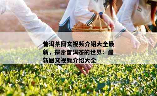 普洱茶图文视频介绍大全最新，探索普洱茶的世界：最新图文视频介绍大全