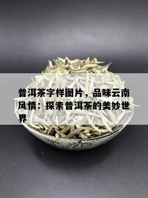 普洱茶字样图片，品味云南风情：探索普洱茶的美妙世界