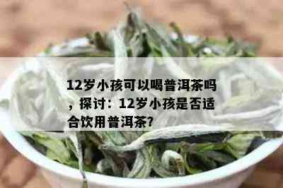 12岁小孩可以喝普洱茶吗，探讨：12岁小孩是否适合饮用普洱茶？