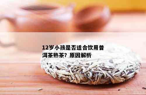 12岁小孩是否适合饮用普洱茶熟茶？原因解析