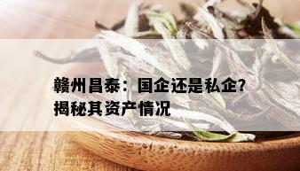 赣州昌泰：国企还是私企？揭秘其资产情况