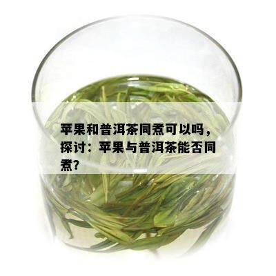 苹果和普洱茶同煮可以吗，探讨：苹果与普洱茶能否同煮？