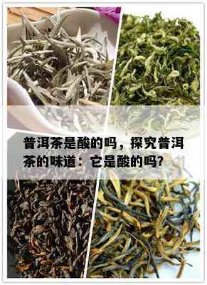 普洱茶是酸的吗，探究普洱茶的味道：它是酸的吗？