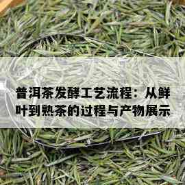 普洱茶发酵工艺流程：从鲜叶到熟茶的过程与产物展示