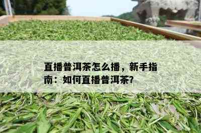 直播普洱茶怎么播，新手指南：如何直播普洱茶？