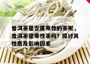 普洱茶是否属寒性的茶呢，普洱茶是寒性茶吗？探讨其性质及影响因素